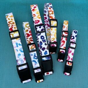 Colorful Leopard Print Dog Collar